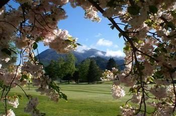 Jack In The Green Garden Rooms Hanmer Springs Ngoại thất bức ảnh